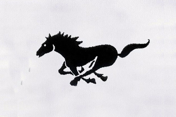 Black Horse Silhouette: A Bold and Versatile Design