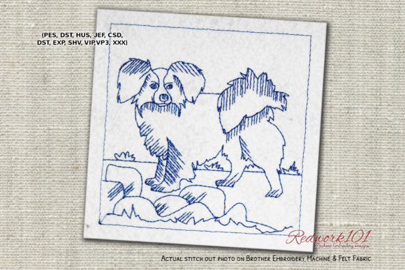 Charming Papillon Dog with Long Shaggy Ears